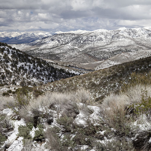 Photo of a snowy Nevada landscape in winter