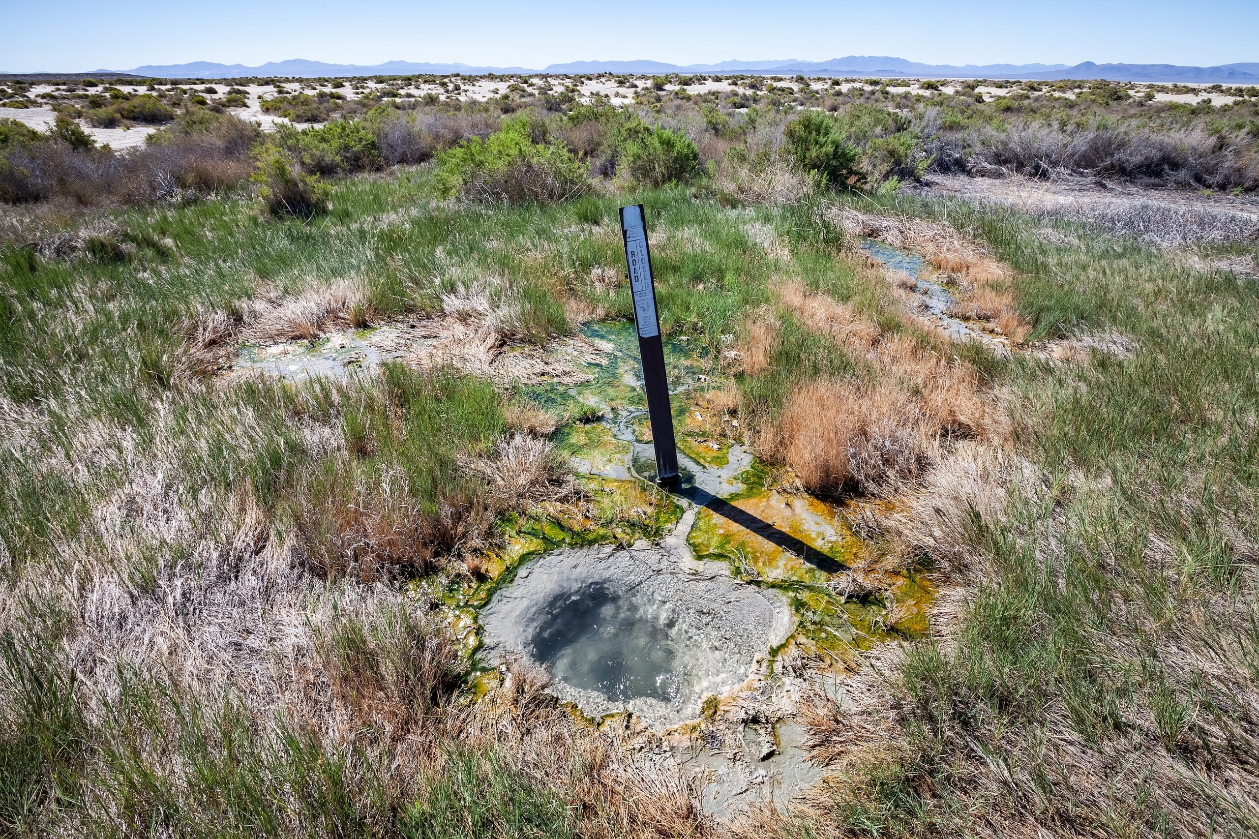 Photo of a small bubbling hotspring in the Black Rock Desert, Nevada.